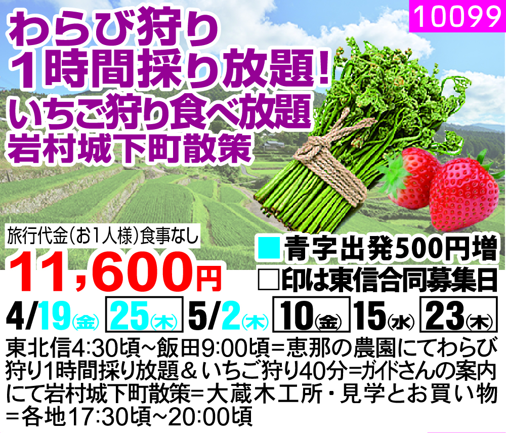 わらび狩り 1時間採り放題！ いちご狩り食べ放題 岩村城下町散策