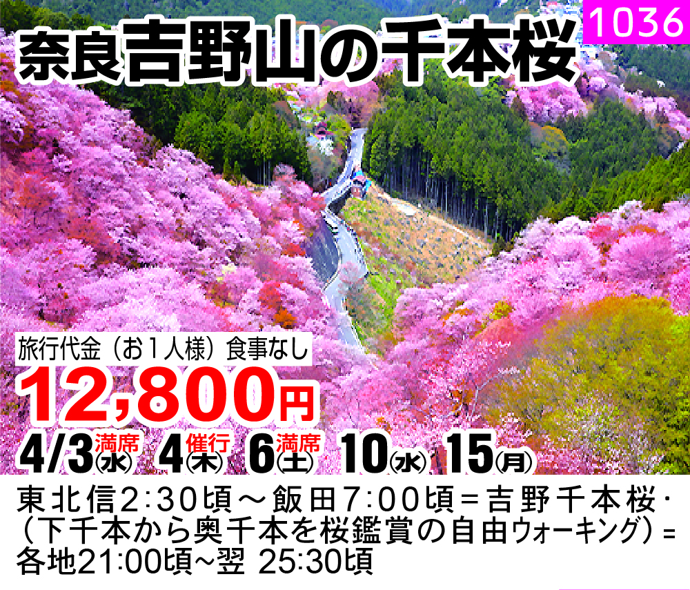 奈良吉野山の千本桜