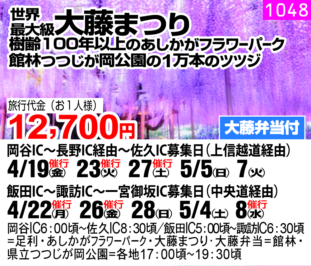 世界最大級大藤まつり樹齢100年以上のあしかがフラワーパーク 館林つつじが岡公園の1万本のツツジ