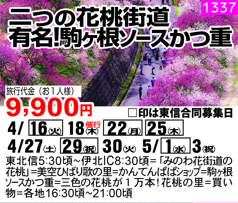 二つの花桃街道 有名！駒ヶ根ソースかつ重