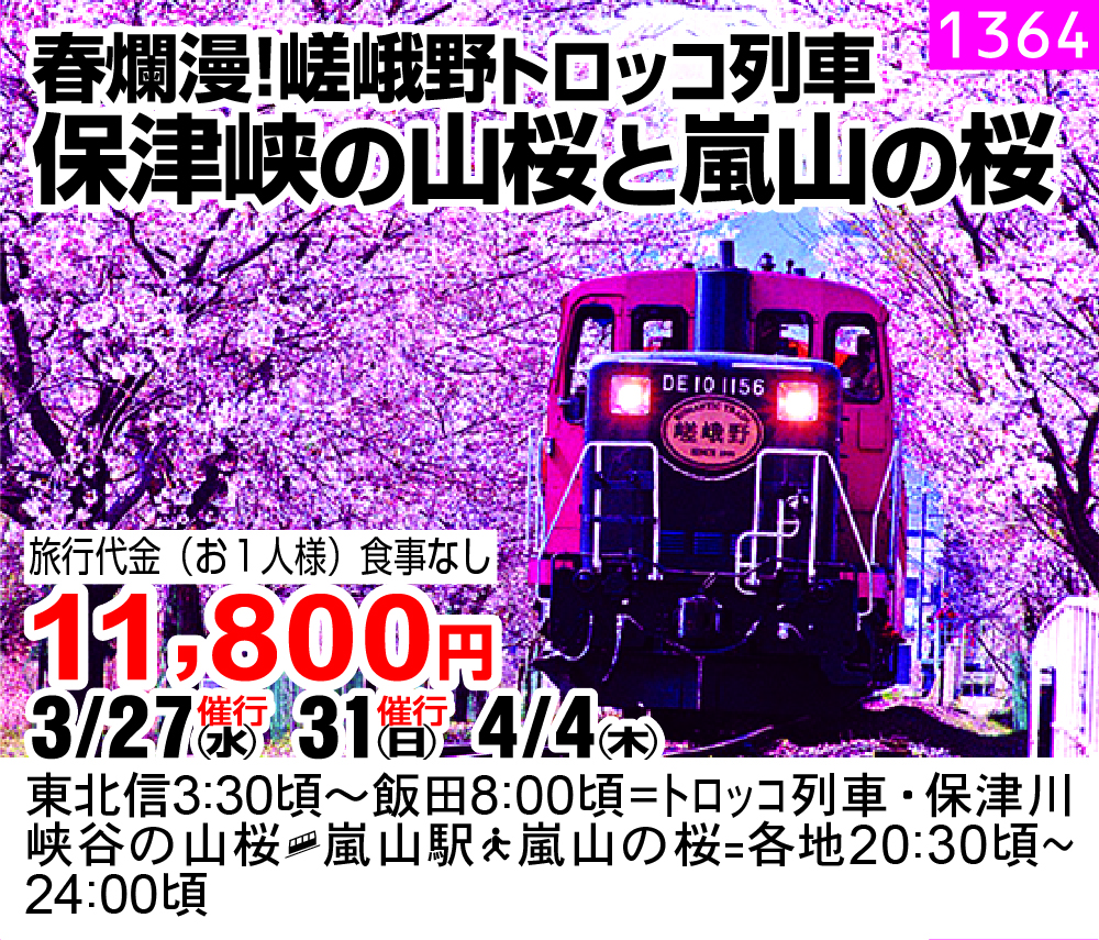 春爛漫！嵯峨野トロッコ列車 保津峡の山桜と嵐山の桜