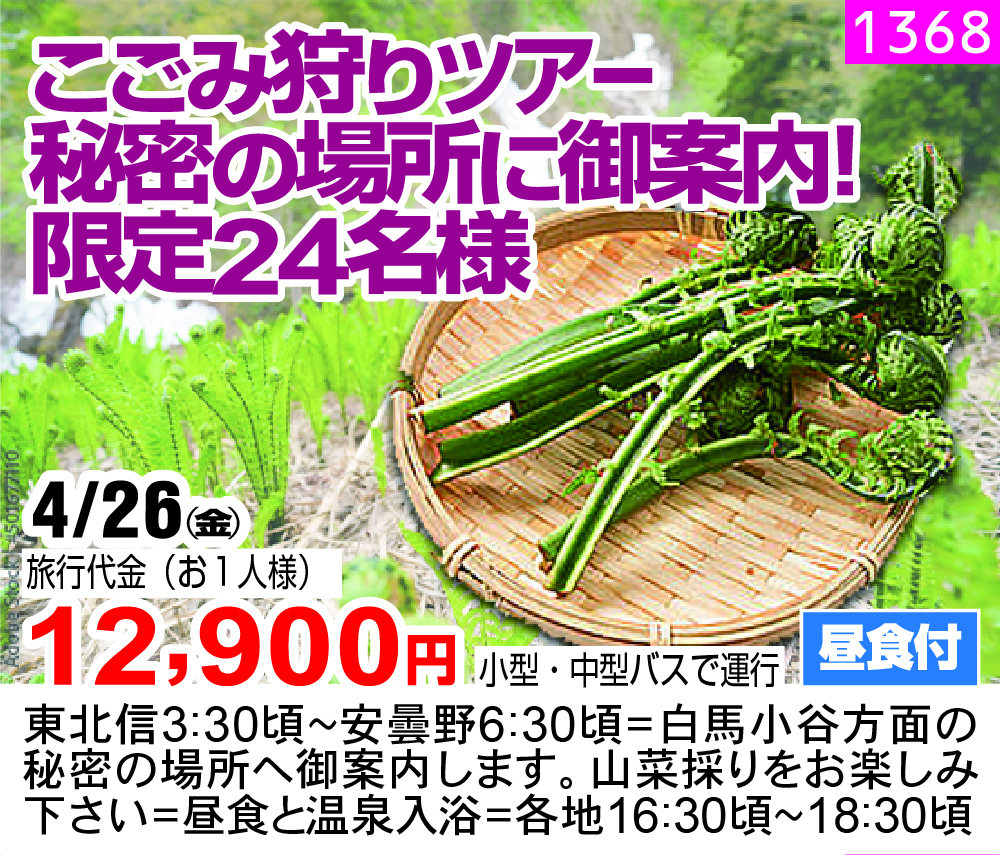 こごみ狩りツアー 秘密の場所に御案内！ 限定24名様