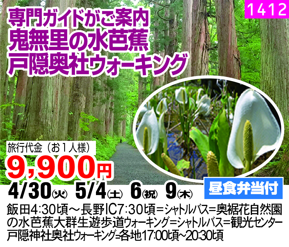 専門ガイドがご案内 鬼無里の水芭蕉 戸隠奥社ウォーキング