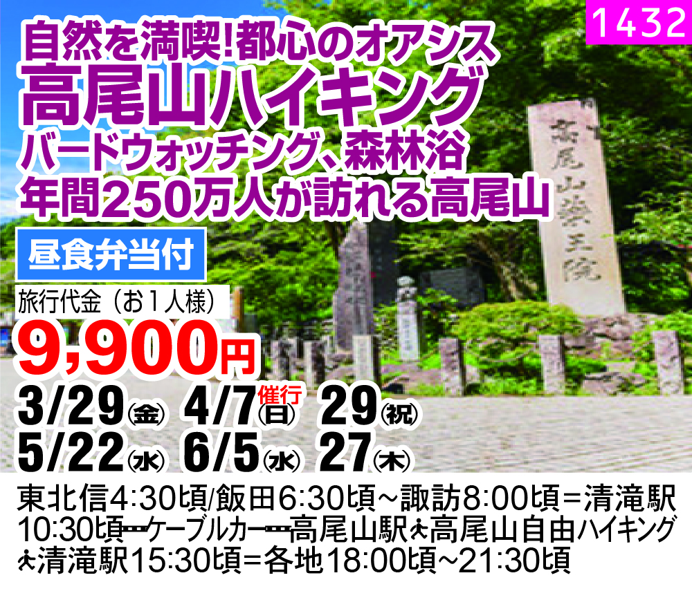 自然を満喫！都心のオアシス 高尾山ハイキング バ－ドウォッチング、森林浴 年間250万人が訪れる高尾山